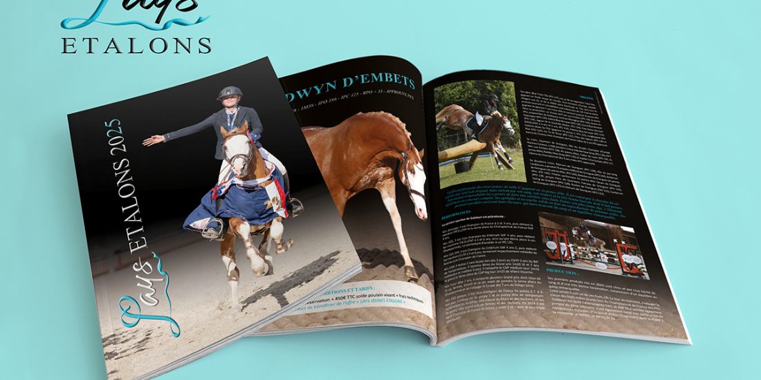 réalisation catalogue Lays étalons