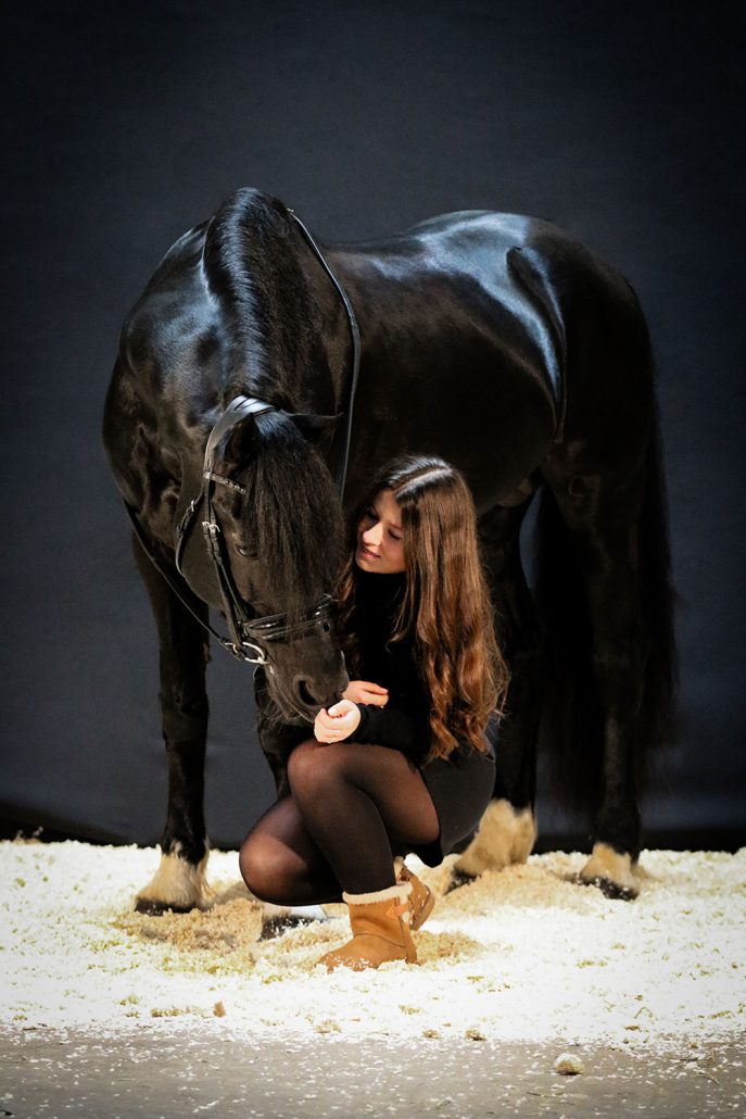 studio photo cheval