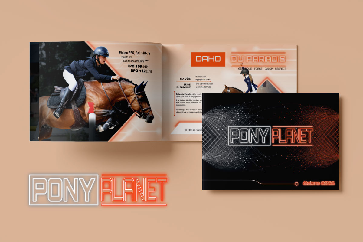 création catalogue étalon