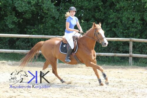 Kerguelen equitation -1F4A4065