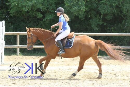 Kerguelen equitation -1F4A4068