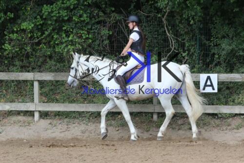 Kerguelen-equitation-1F4A3392