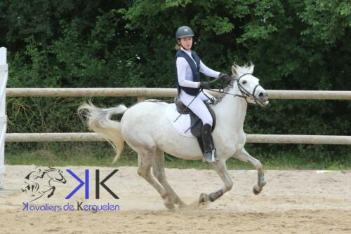 Kerguelen-equitation-1F4A3491
