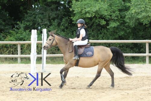 Kerguelen-equitation-1F4A3504