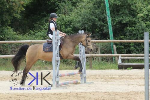 Kerguelen-equitation-1F4A3506