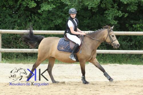 Kerguelen-equitation-1F4A3508