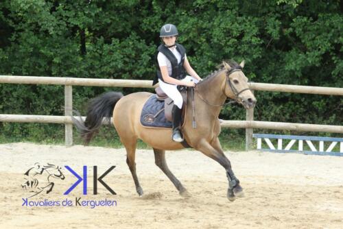 Kerguelen-equitation-1F4A3509