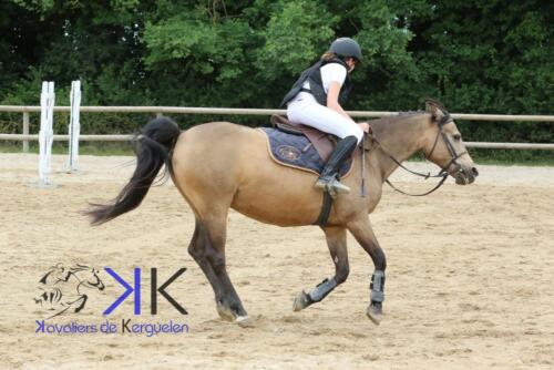 Kerguelen-equitation-1F4A3514