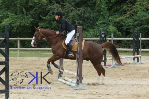 Kerguelen-equitation-1F4A3519