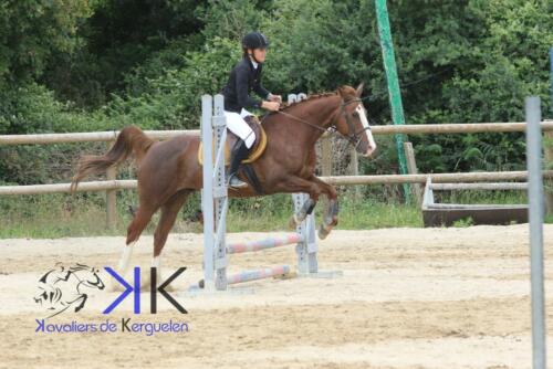 Kerguelen-equitation-1F4A3520