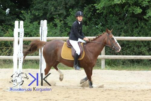 Kerguelen-equitation-1F4A3522