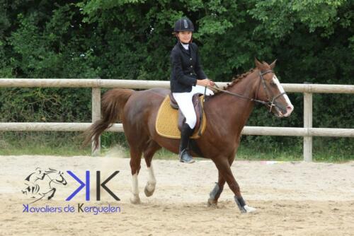 Kerguelen-equitation-1F4A3523