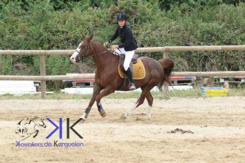 Kerguelen-equitation-1F4A3525