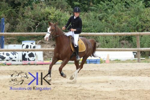 Kerguelen-equitation-1F4A3526