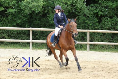 Kerguelen-equitation-1F4A3539