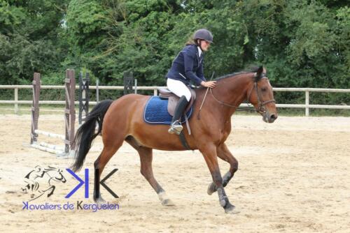 Kerguelen-equitation-1F4A3543