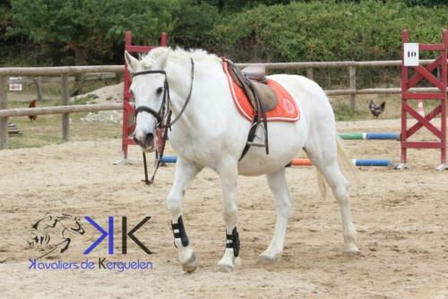 Kerguelen-equitation-1F4A3548