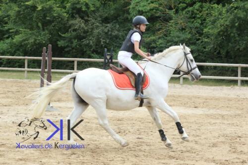Kerguelen-equitation-1F4A3556