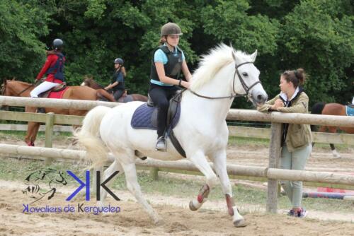 Kerguelen-equitation-1F4A3561