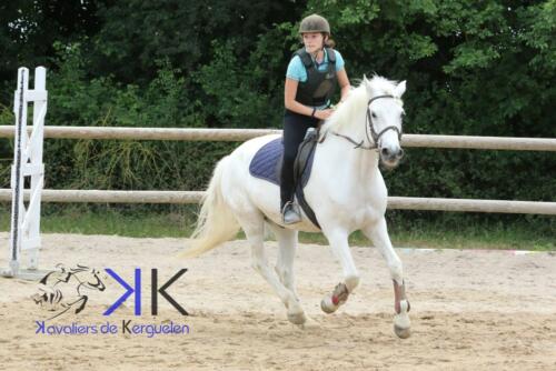 Kerguelen-equitation-1F4A3567