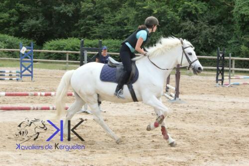 Kerguelen-equitation-1F4A3569