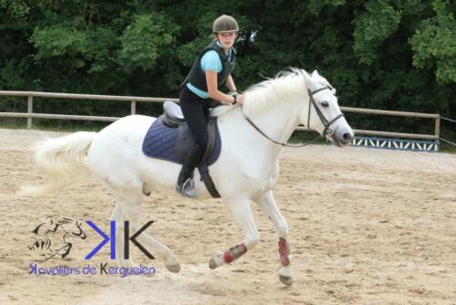 Kerguelen-equitation-1F4A3570