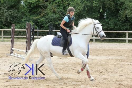 Kerguelen-equitation-1F4A3572