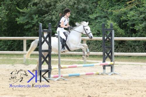 Kerguelen-equitation-1F4A3577