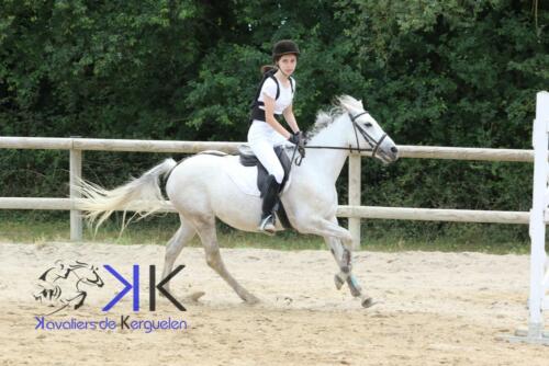Kerguelen-equitation-1F4A3578