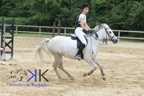 Kerguelen-equitation-1F4A3581
