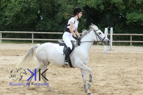 Kerguelen-equitation-1F4A3583