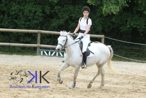 Kerguelen-equitation-1F4A3584