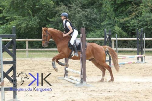 Kerguelen-equitation-1F4A3590