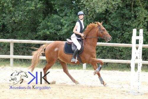 Kerguelen-equitation-1F4A3593