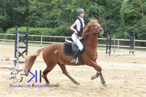 Kerguelen-equitation-1F4A3595