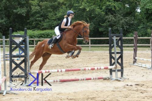 Kerguelen-equitation-1F4A3596