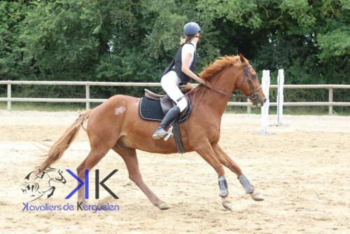 Kerguelen-equitation-1F4A3597