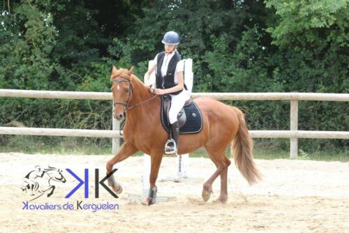 Kerguelen-equitation-1F4A3598