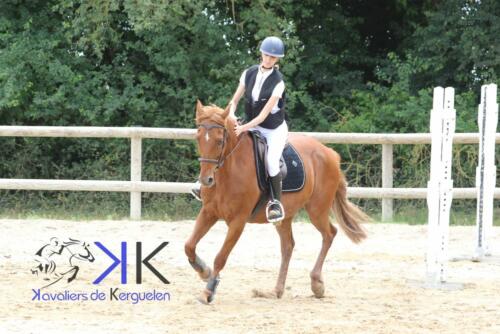 Kerguelen-equitation-1F4A3599