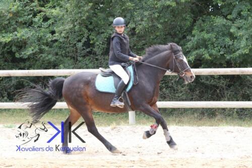 Kerguelen-equitation-1F4A3608
