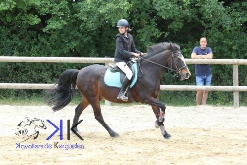 Kerguelen-equitation-1F4A3609