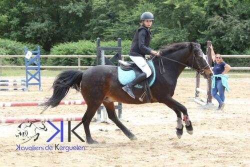 Kerguelen-equitation-1F4A3611