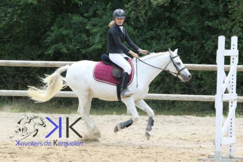 Kerguelen-equitation-1F4A3620
