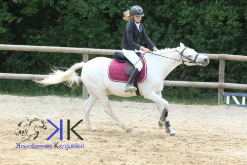 Kerguelen-equitation-1F4A3621