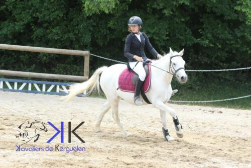 Kerguelen-equitation-1F4A3622