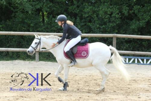 Kerguelen-equitation-1F4A3627