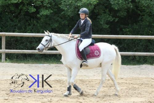 Kerguelen-equitation-1F4A3631