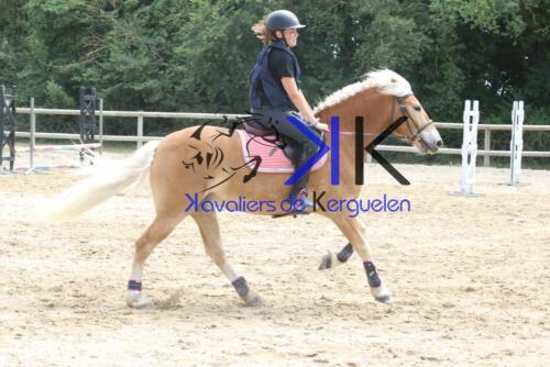 Kerguelen-equitation-1F4A3656