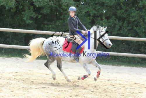 Kerguelen-equitation-1F4A3685