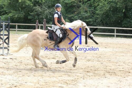 Kerguelen-equitation-1F4A3700